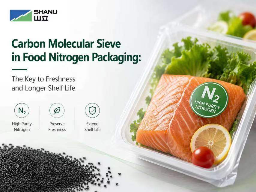 Peneira molecular de carbono em embalagens de nitrogênio para alimentos: a chave para o frescor e maior vida útil.